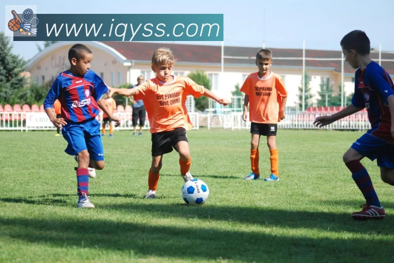 乐鱼官网平台平台生态图