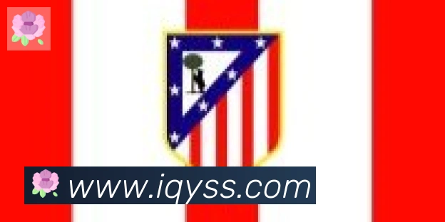 乐鱼官网平台合作伙伴