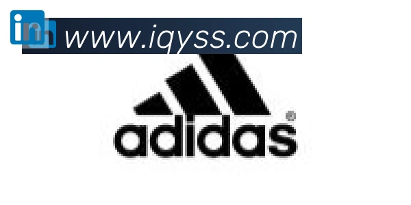 乐鱼官网平台合作伙伴